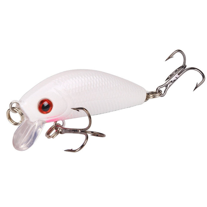 1 Piece Minnow Fishing Lure